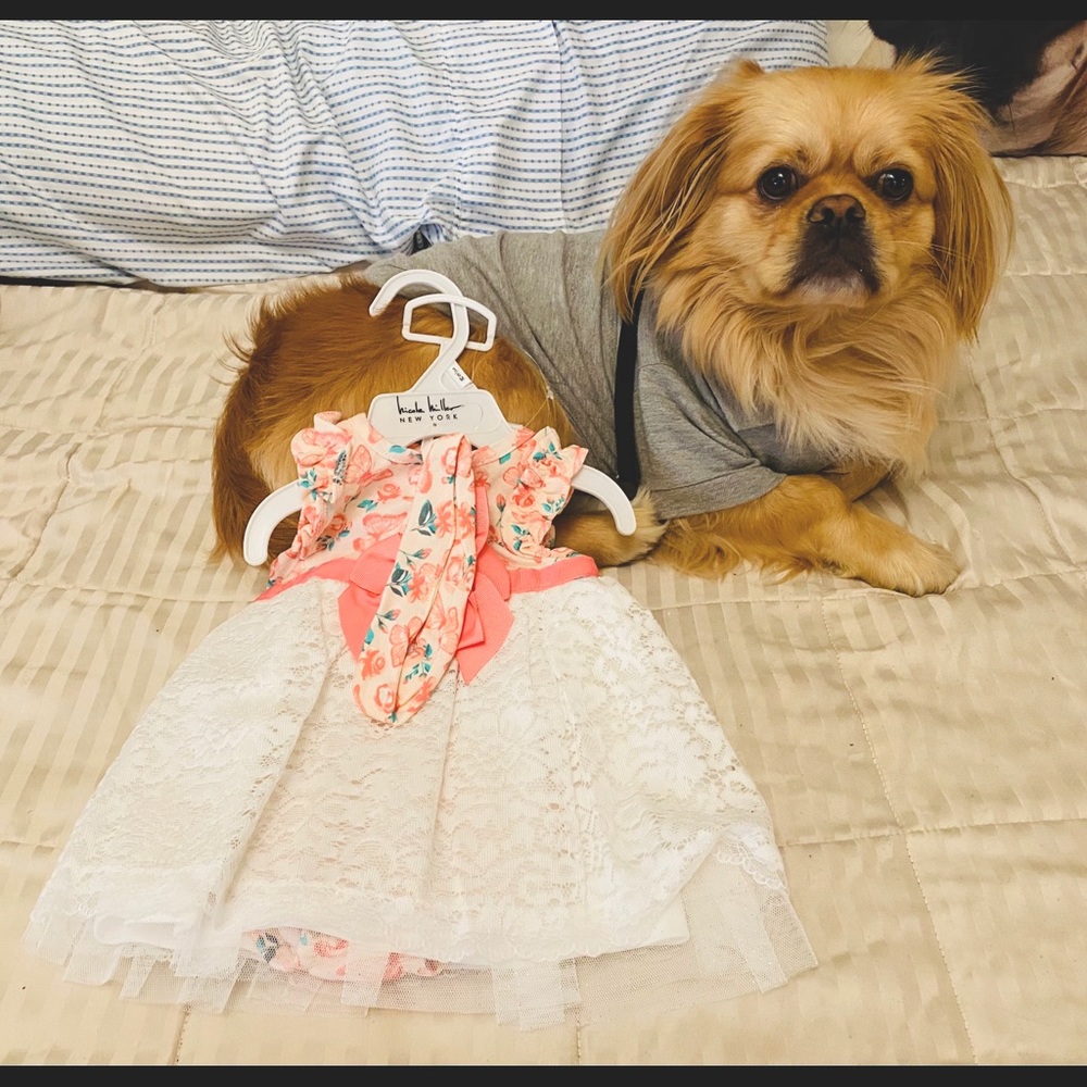 Baby dress